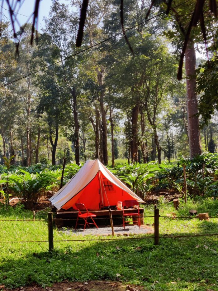 Wood Monks Camping Wayanad - Image 5