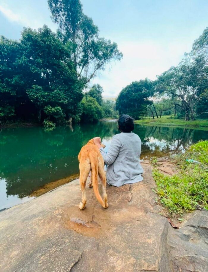 Wood Monks Camping Wayanad - Image 17