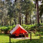 Wood Monks Camping Wayanad