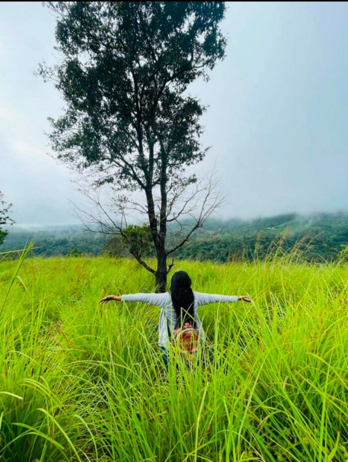 Wood Monks Camping Wayanad - Image 18