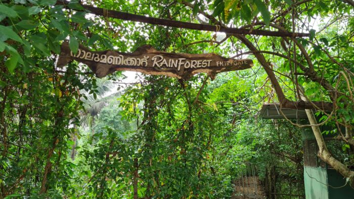 Nalumanikattu Kayaking Water Sports Thrissur - Image 4