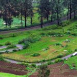 28 Places that you must visit in Ooty Tamilnadu