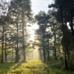 Thollayiram Kandi Resort Camping & Tent Stay