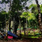 Suryanelli Forest Tent Stay & Kolukkumalai Trekking Munnar