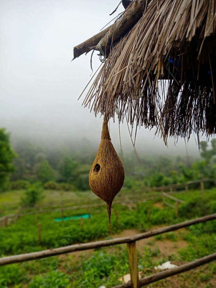 Kanthalloor Tent Stay Tour Packages with Jeep Safari - Image 16