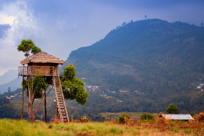 Kanthalloor Tent Stay Tour Packages with Jeep Safari - Image 12