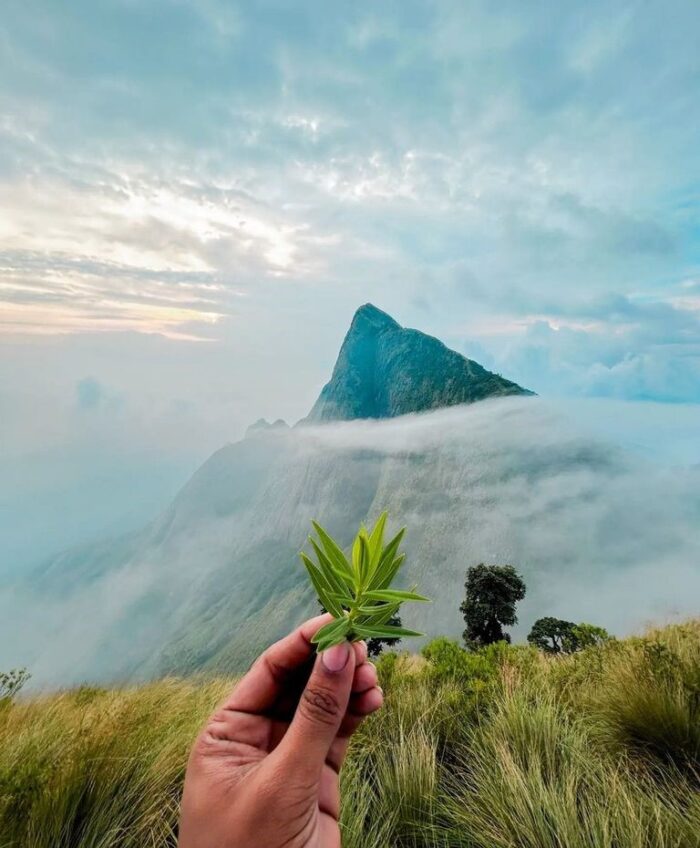 Kolukkumalai A Frame Stay in Suryanelli - Image 3