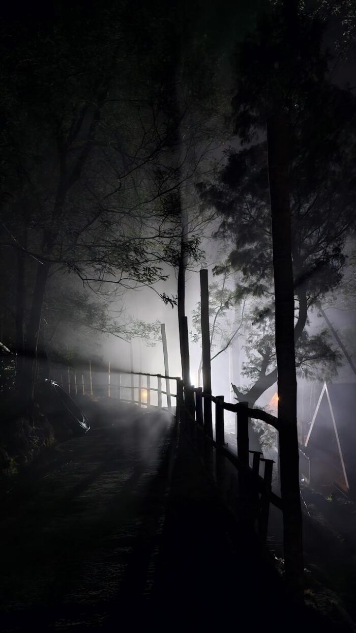 Kolukkumalai A Frame Stay in Suryanelli - Image 17