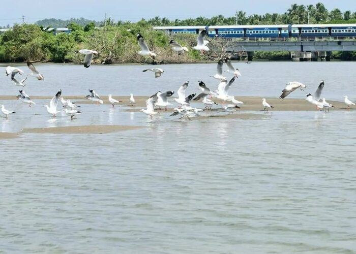 Kadalundi Island Tourism houseboat Packages - Image 3