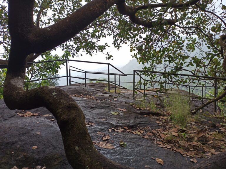 Thusharagiri - Image 6