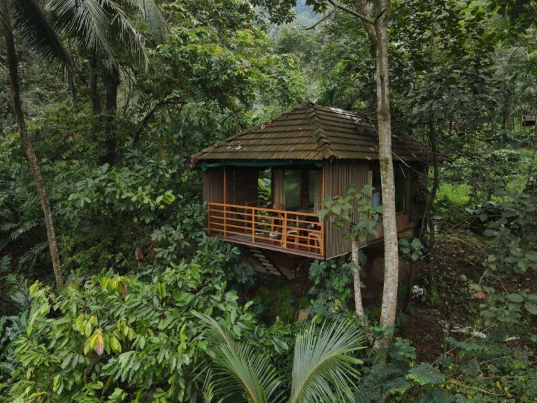 Thusharagiri - Image 4