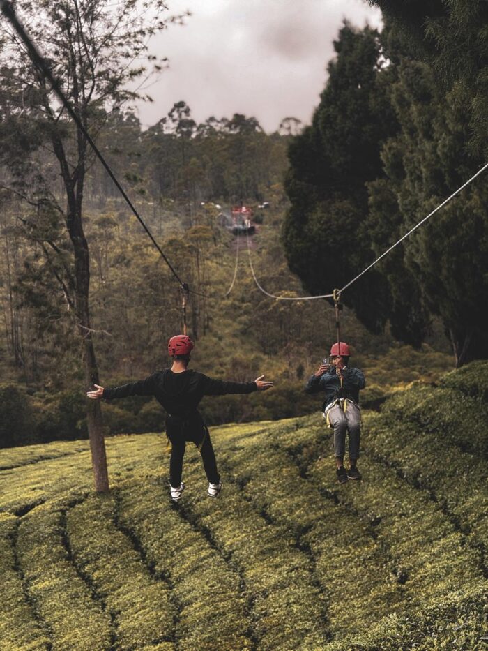 Kerala's Longest Dual Zipline in Suryanelli, Munnar - Image 3