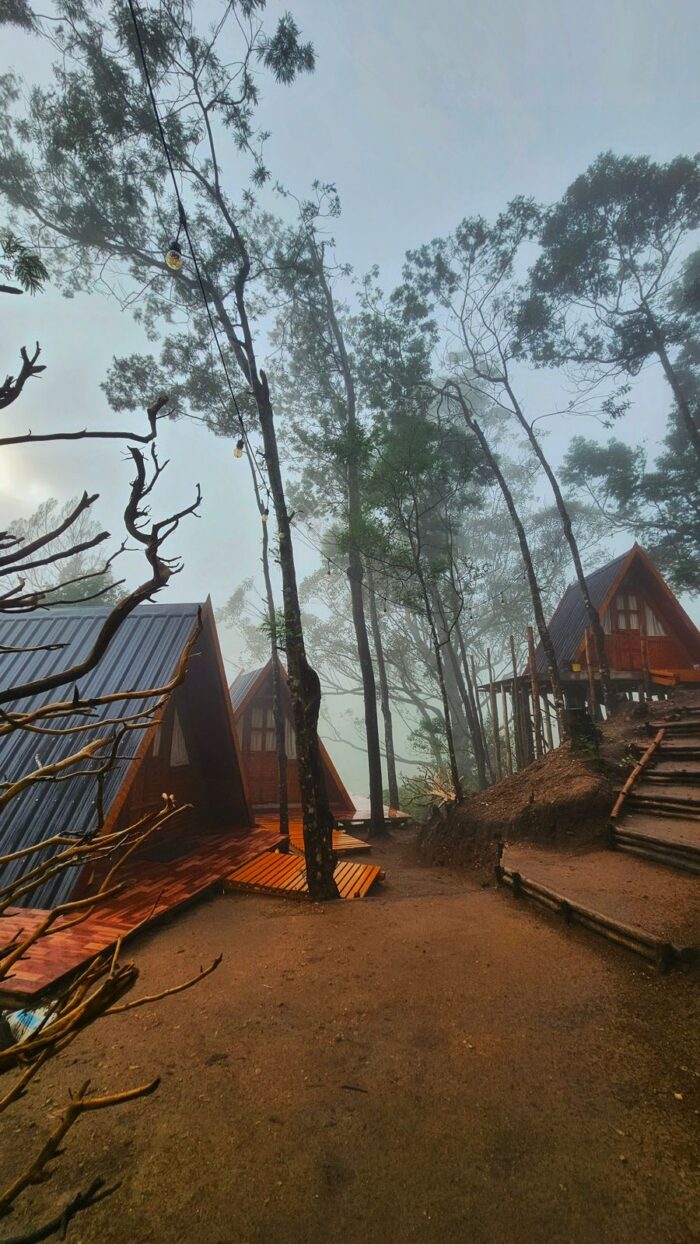 Kolukkumalai A Frame Stay in Suryanelli - Image 4