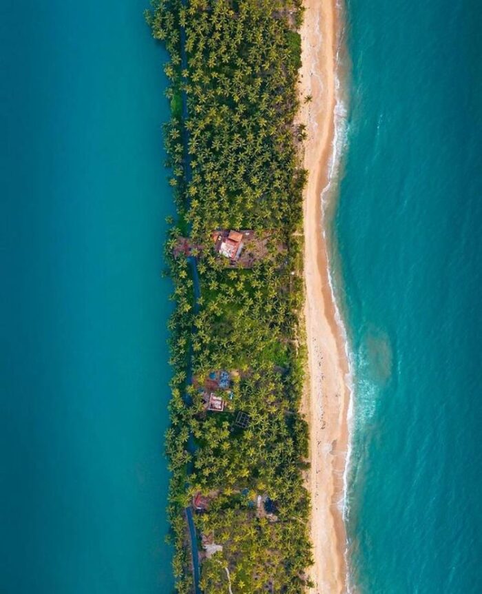 Mangrove Vibe Kayaking - Image 6