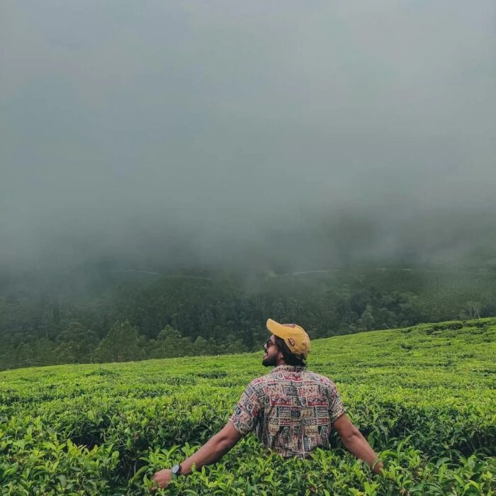 4 Days 3 Night Munnar Tour Package - Image 4