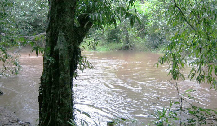 Achankovil - Image 3