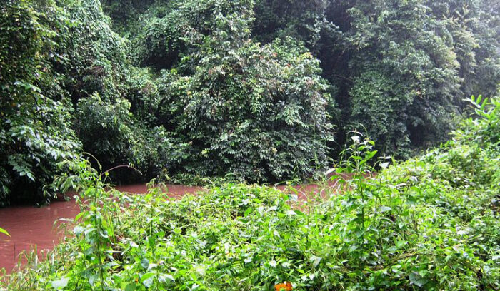 Achankovil - Image 6