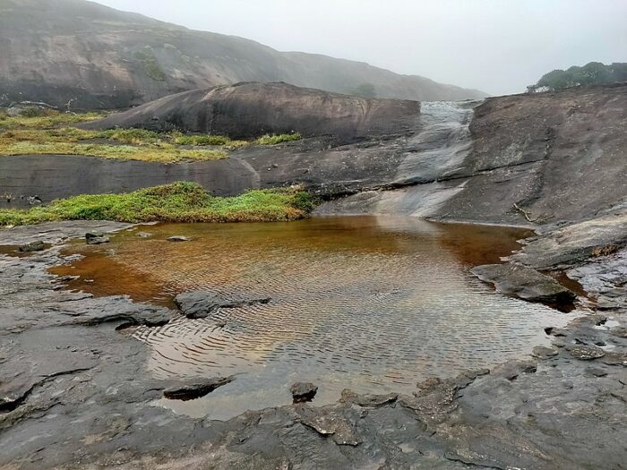 Agasthyarkoodam the bird watcher’s paradise - Image 2