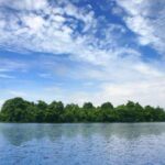 Pathiramanal- the ‘midnight sand’