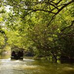 Poovar Island and backwaters