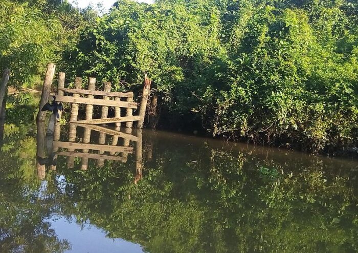Poovar Island and backwaters - Image 6