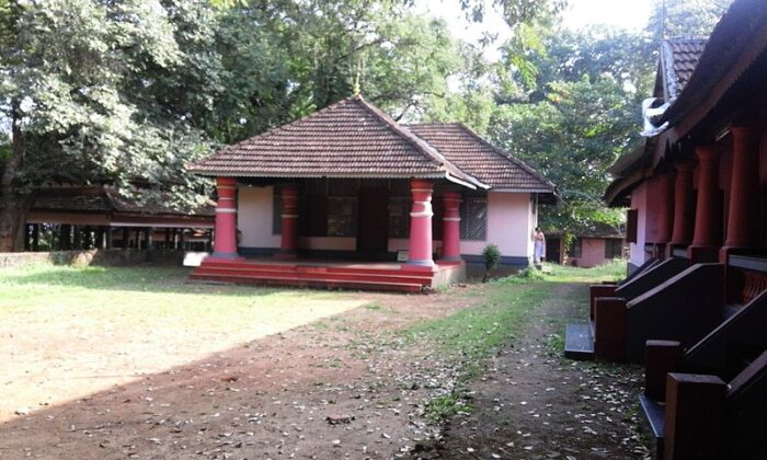 Kerala Kalamandalam - Image 6