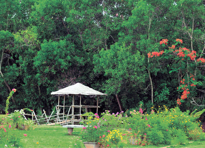 Noor lake Tirur Malappuram - Image 3