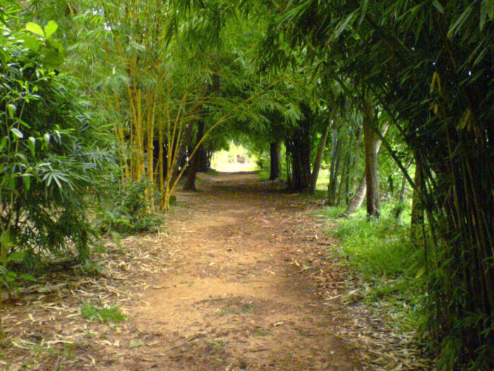 Noor lake Tirur Malappuram - Image 5