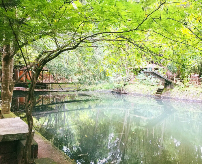 Noor lake Tirur Malappuram - Image 6