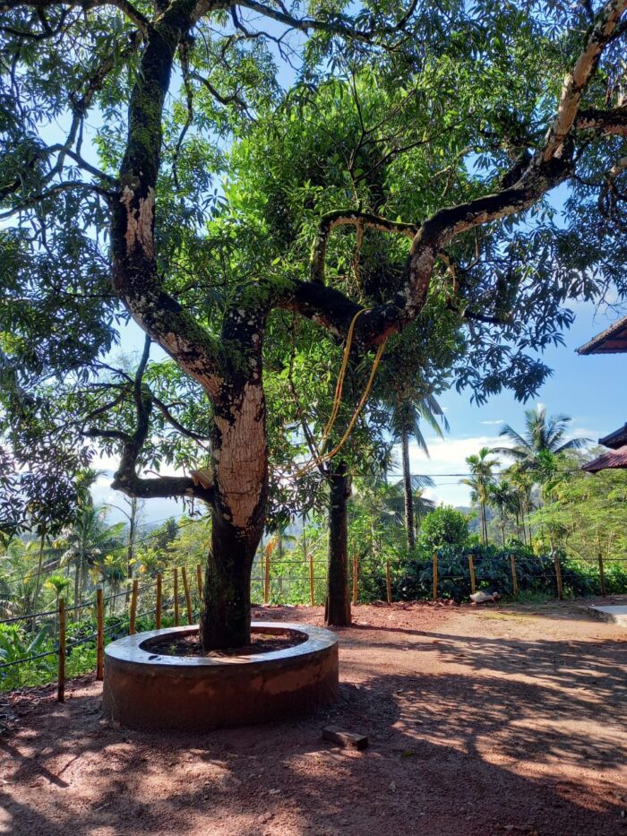 15 People accommodating Angadenz Homestay in Wayanad - Image 8