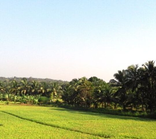 Pallippuram village