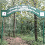 Salim Ali Bird Sanctuary, Thattekkad