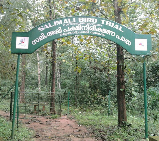 Salim Ali Bird Sanctuary, Thattekkad