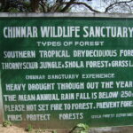 Kozhencherry Aruvikkuzhy Waterfall