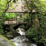 Mystic Mayapott Jungle Resort In Thekkady, Idukki Kerala
