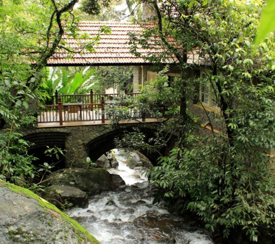 Mystic Mayapott Jungle Resort In Thekkady, Idukki Kerala