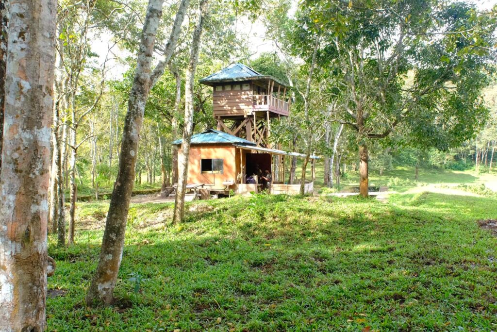 Stay in the Middle of the Forest Periyar Tiger Reserve Watch Tower