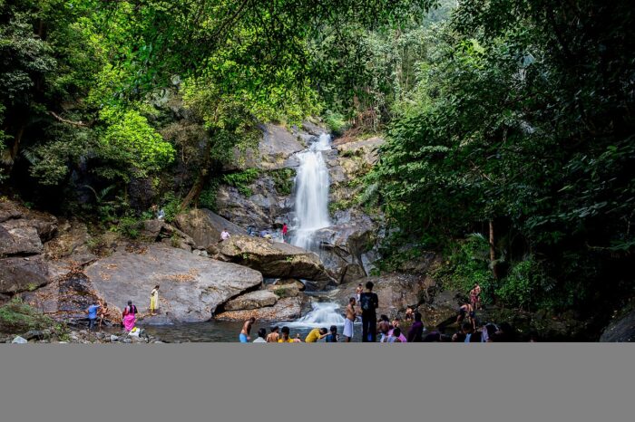 Meenvallam Waterfalls - Image 5