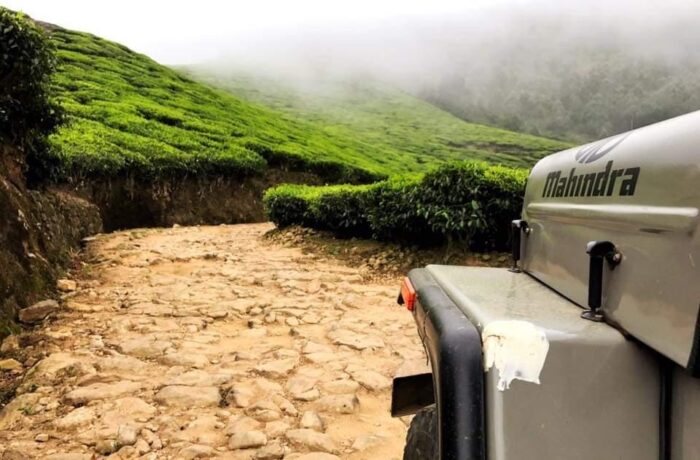 Sunrise Kolukkumalai Trekking Jeeps Safari Package - Image 2