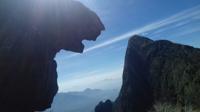 Sunrise Kolukkumalai Trekking Jeeps Safari Package - Image 9