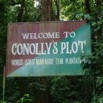 Conolly’s Plot