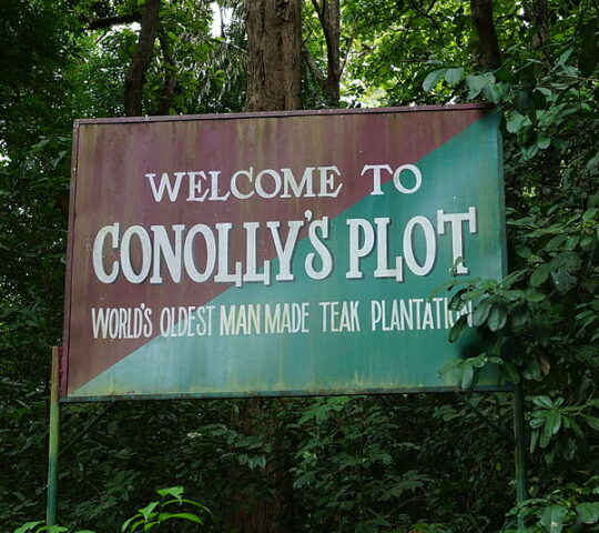 Conolly’s Plot