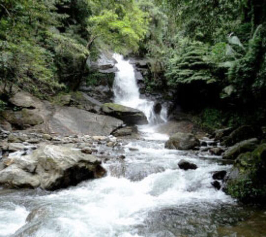 Dhoni Water Falls