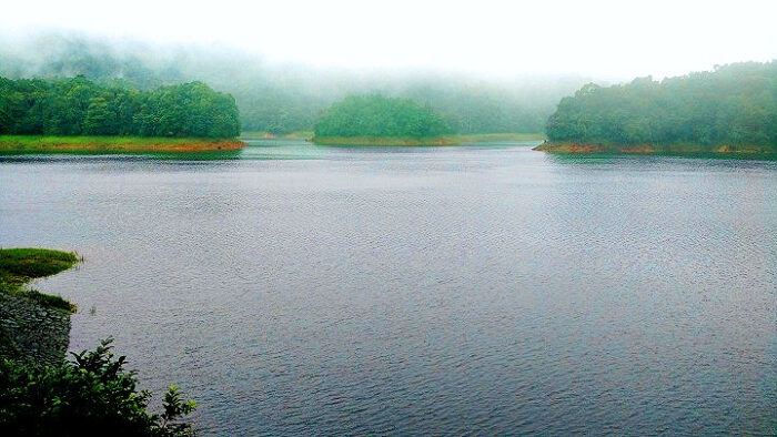 Kakkayam Valley Base Camp Kariyathumpara - Image 7