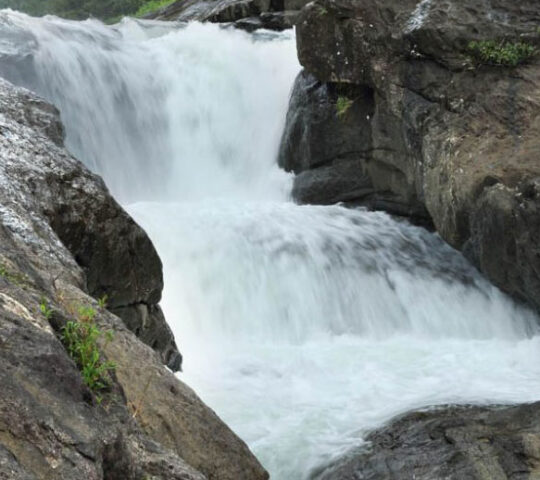 Kozhippara Waterfall, Kakadam Poyil