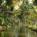 Mannanam Backwaters