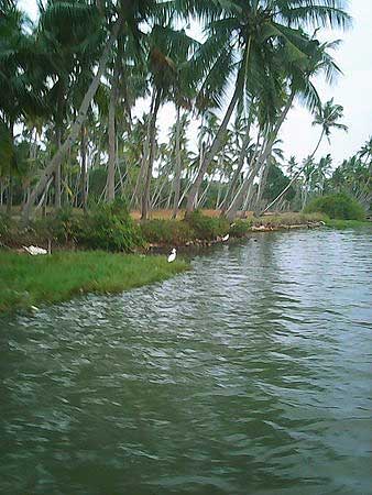 Ponnumthuruthu (Golden) Island, Varkala, Kerala