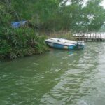 Ponnumthuruthu Island