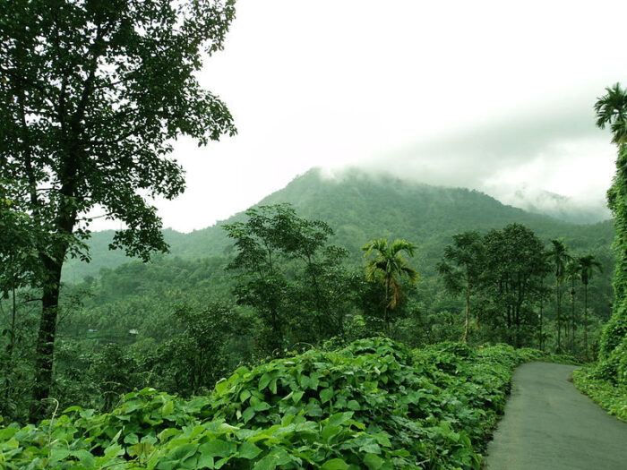 Thusharagiri - Image 15