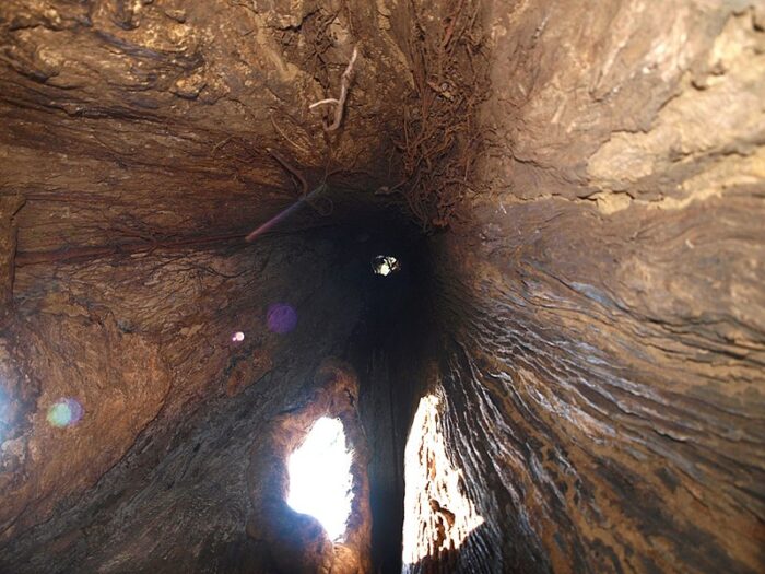 Thusharagiri - Image 12